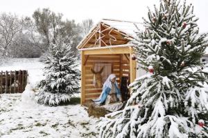 radujme se veselme se